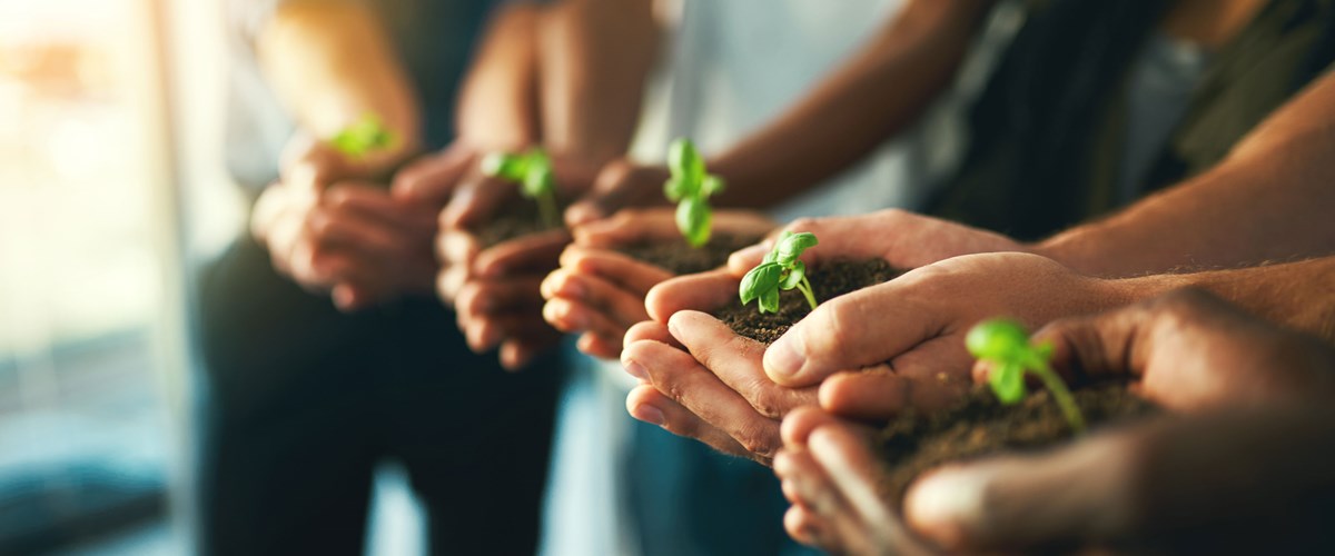 UK Shared Prosperity Fund Webinar: Decarbonisation
