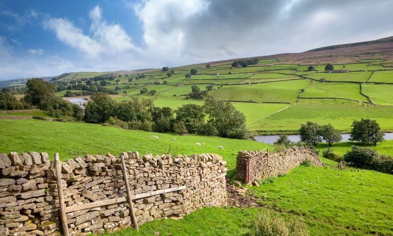 Wheels in motion for rural shared mobility schemes