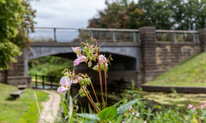 Circular Towns: Selby taking a grassroots approach to bring the circular economy to life