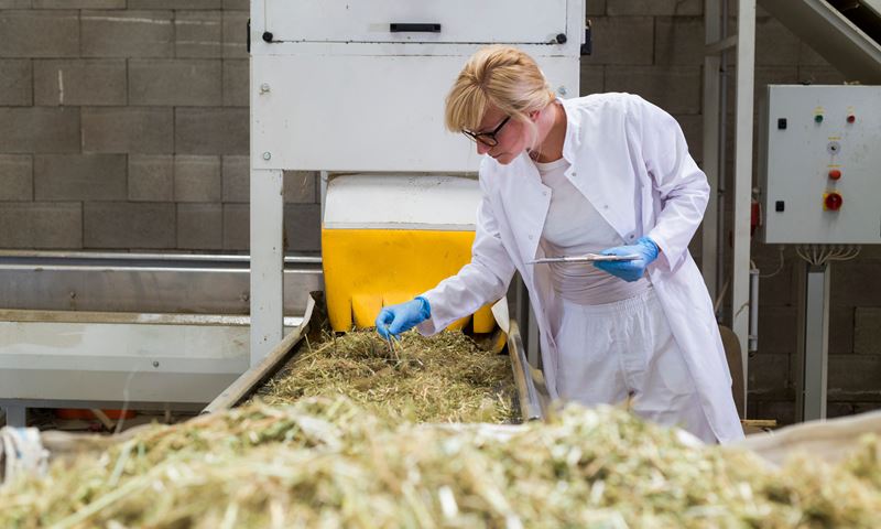 Hemp supply chain study published